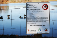 Water Fowl Sign